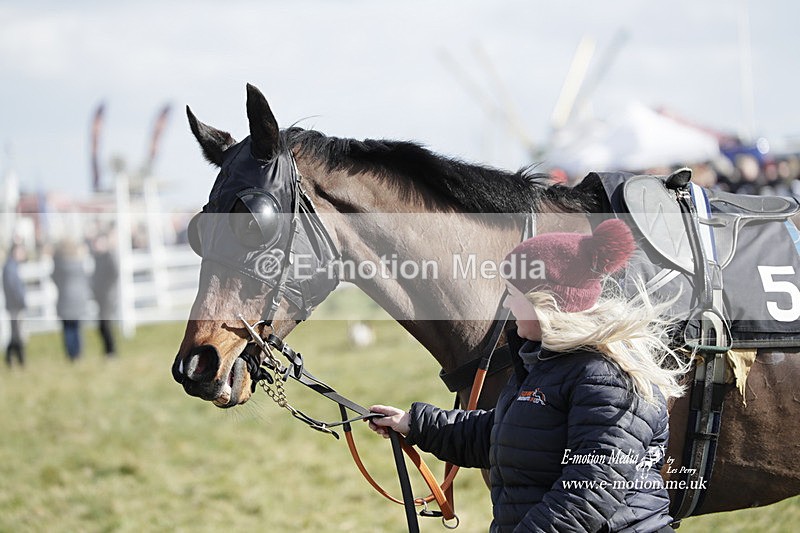 PtP 260223 357 - South & West Wilts Point-to-Point Larkhill 26/02/23