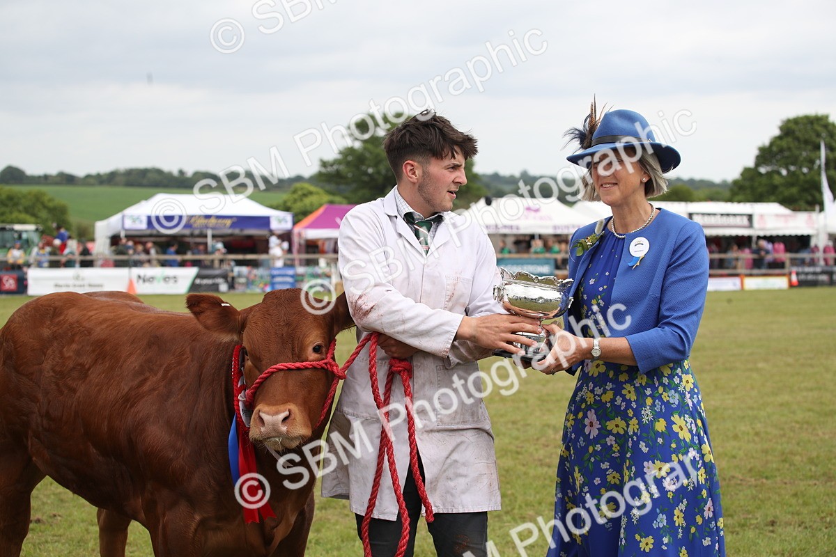 SBM_07932 - Grand Parade