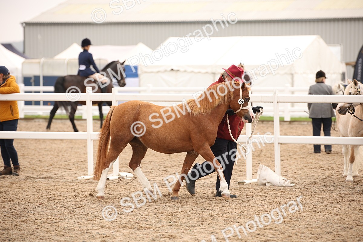 SBM_22121 - Class 707 - Ridden Groom-Helpers Class