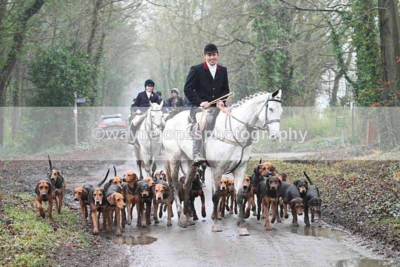 WJ7_3685 - In-between lines