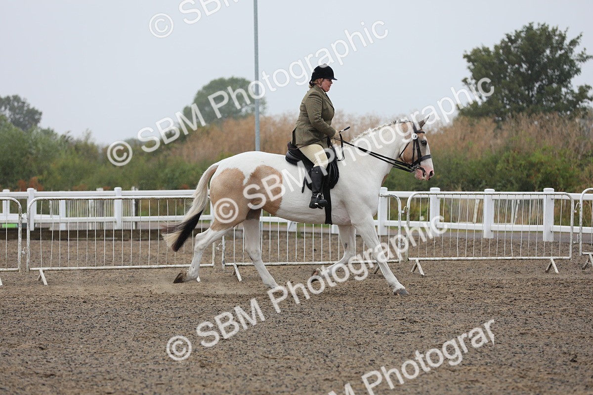 SBM_20284 - Class 803 - Ridden Combination 65+