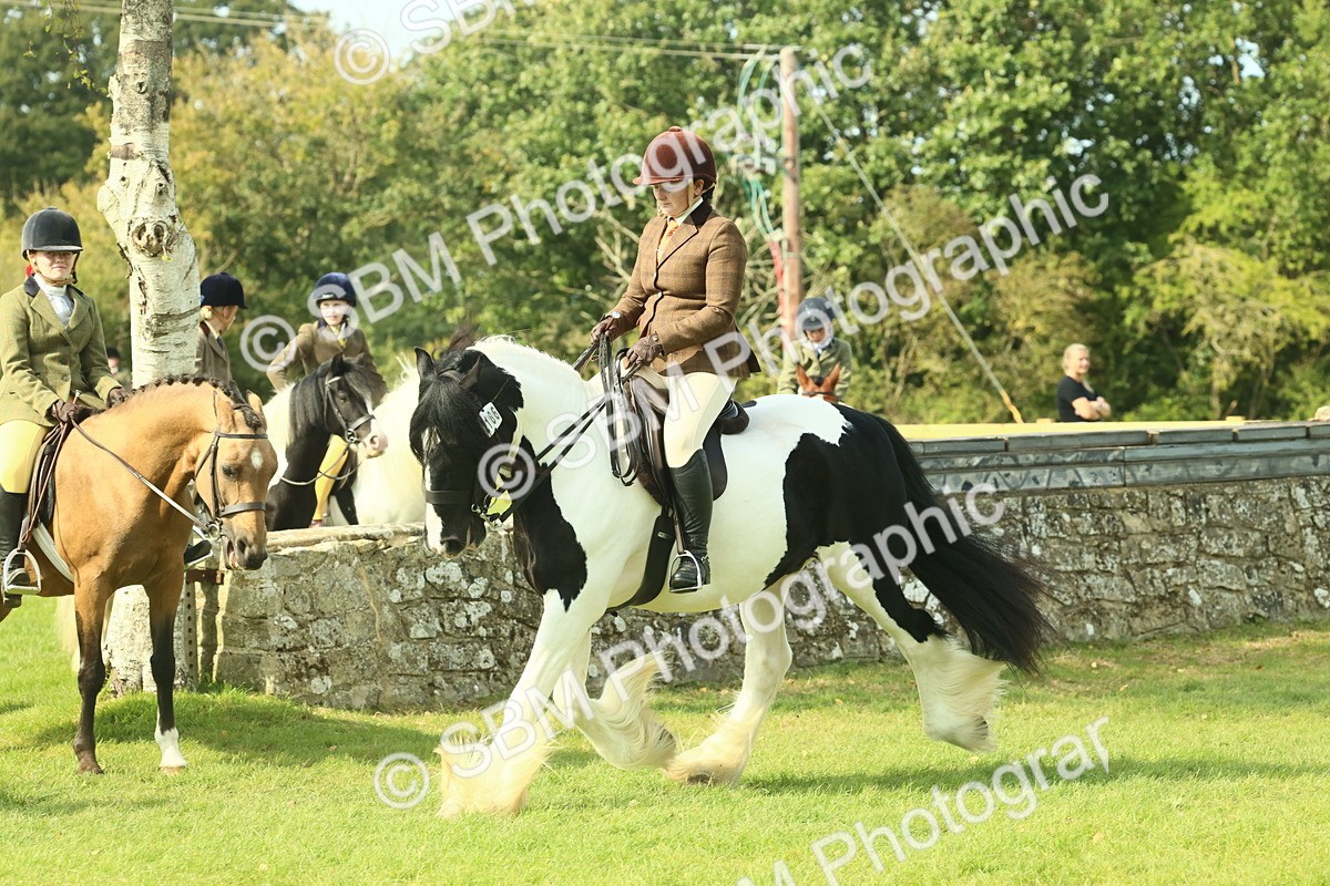 SBM_68791 - S58 - Mini Show Cob Ridden