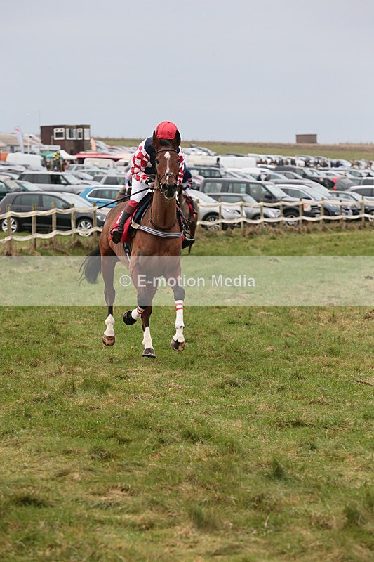 PtP 060119 82 - Larkhill Racing Club - Point-to-Point- 06/01/2019
