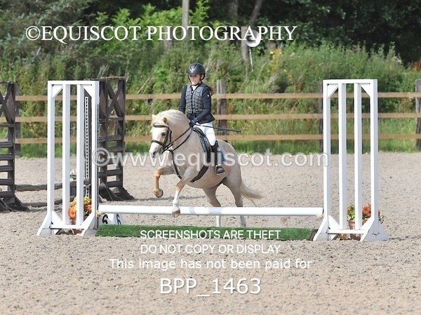 BPP_1463 - DERBY CLASS 3 - 40CM