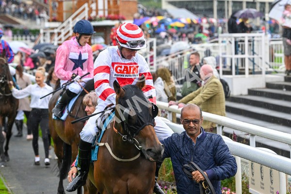 080924-Race 7-Young Fire-9639 - Race 7 5.10pm Elevator Company Amateur Jockeys' Handicap
