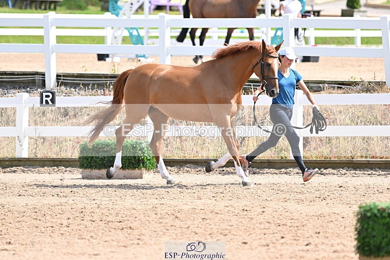 240717A-154048-02971 - Trot Up 3pm to 4pm
