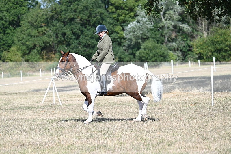 WJ7_2841 - Class 8 Ridden Tack & Turnout