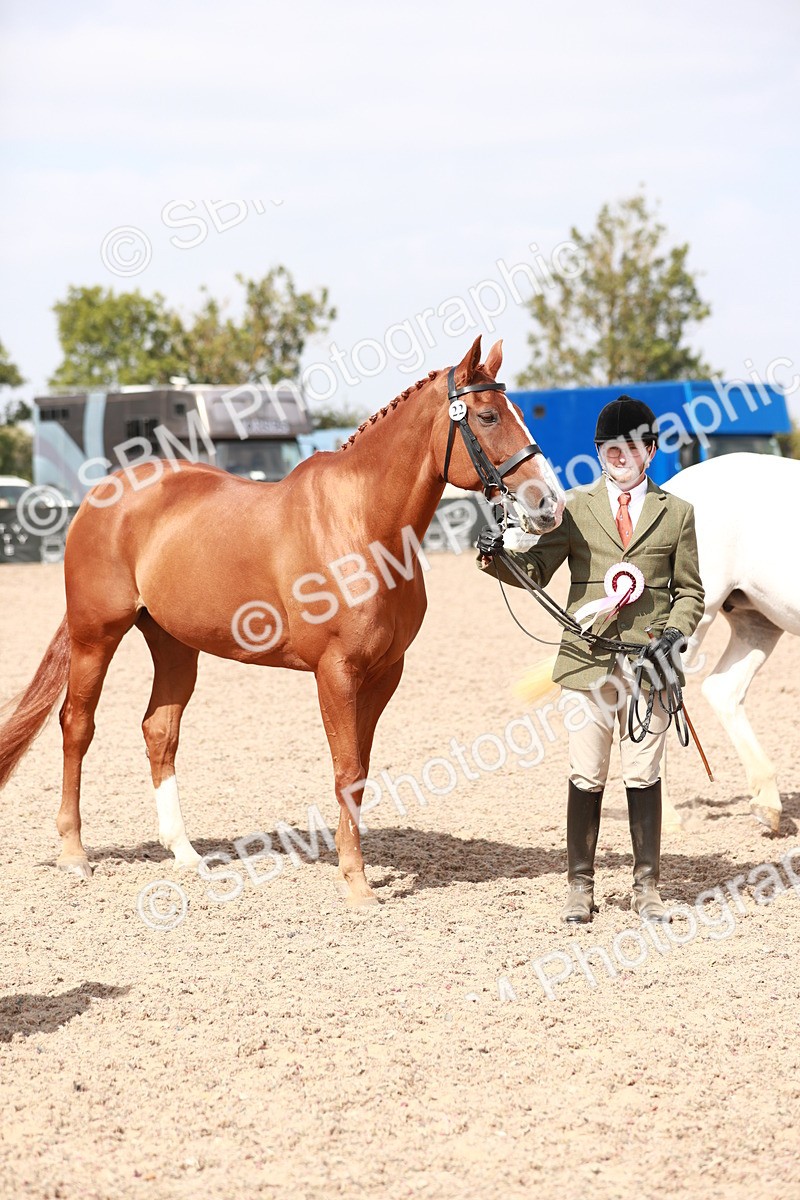 SBM_13303 - Class 208 IH Veteran Horse