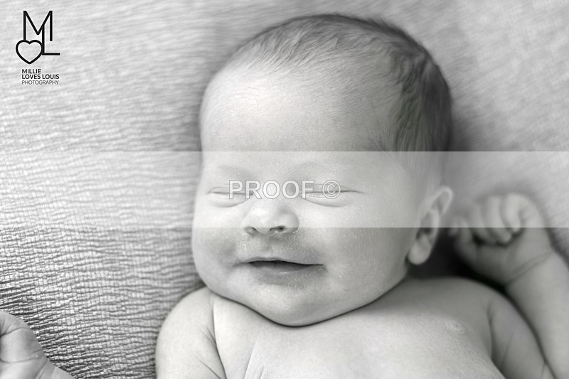 Estella Photoshoot 25th August 2016 Millie Loves Louis Photography  12 - Newborn Photoshoots