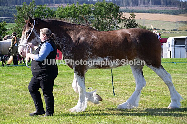 DSC_0063 - Ring 1