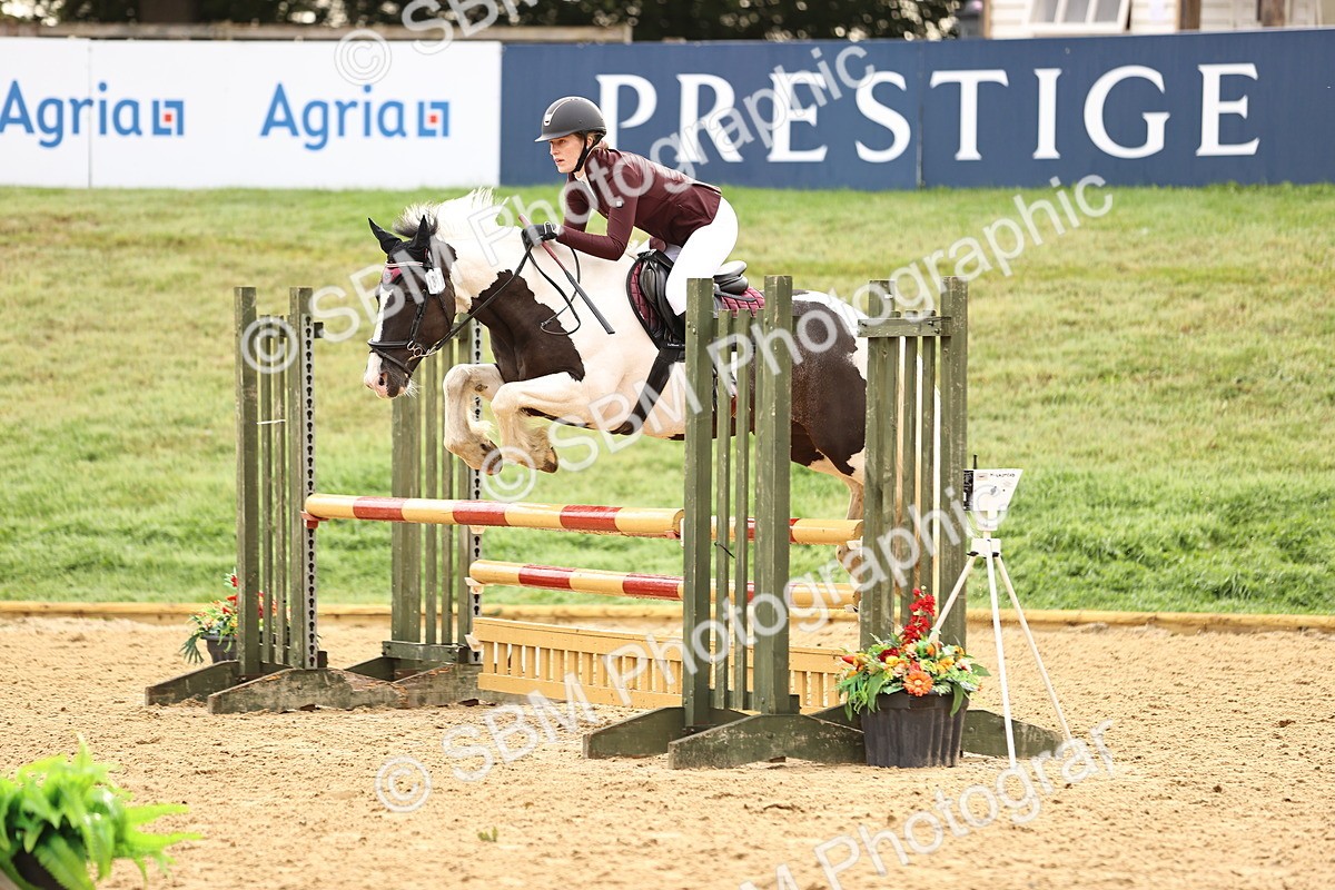 SBM_58213 - J41 - Grand Tour Horse & Pony 95cm