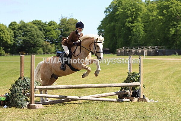 IMG_3650 - Working Hunter