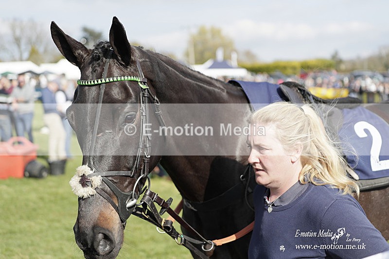 PtP 080423 698 - Dingley Races The Woodland Pytchley Hunt PtP 08/04/23
