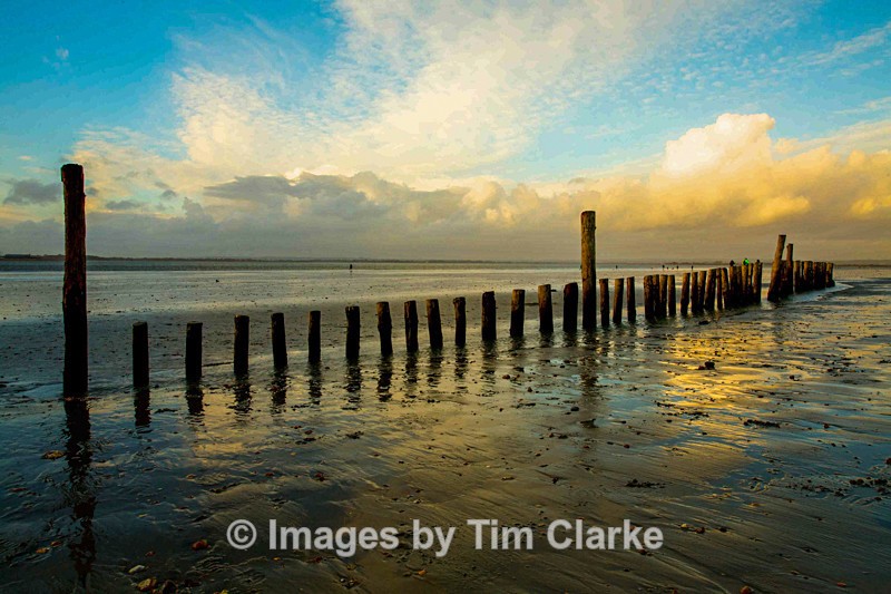 Evening Light West Wittering 286552 - Seascapes