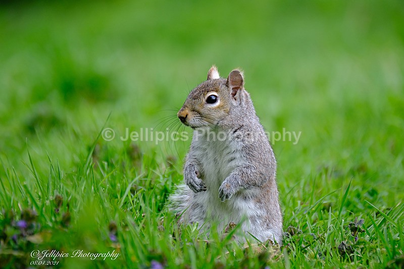  - Wildlife and Nature