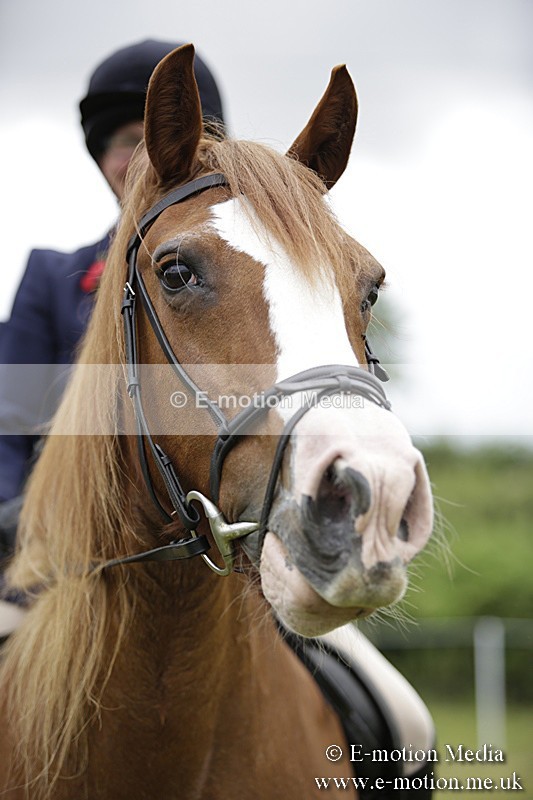 BVR160717-1560 - Ring 1 BVRC Show 16/07/17