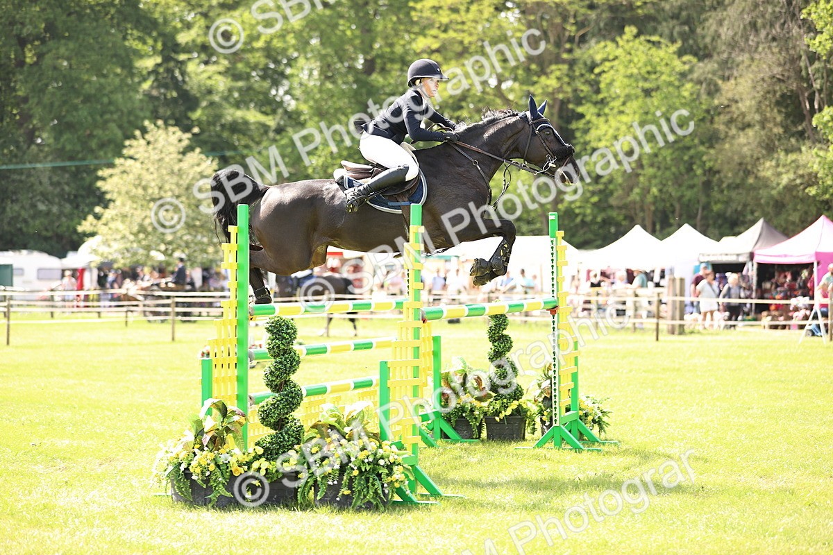 SBM_03056 - Class 201 - British Horse Feedds Speedi Beet HOYS Grade C