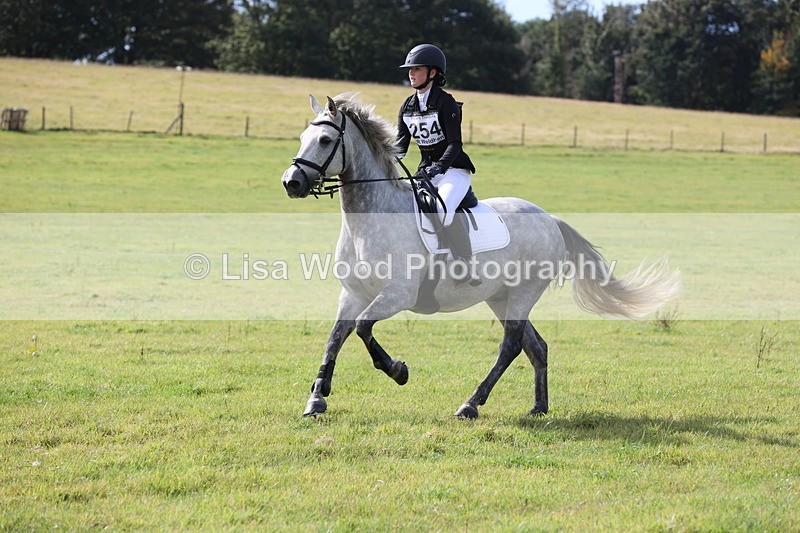JPP_8643 - Class 2: Trekenning: 80cm Showjumping