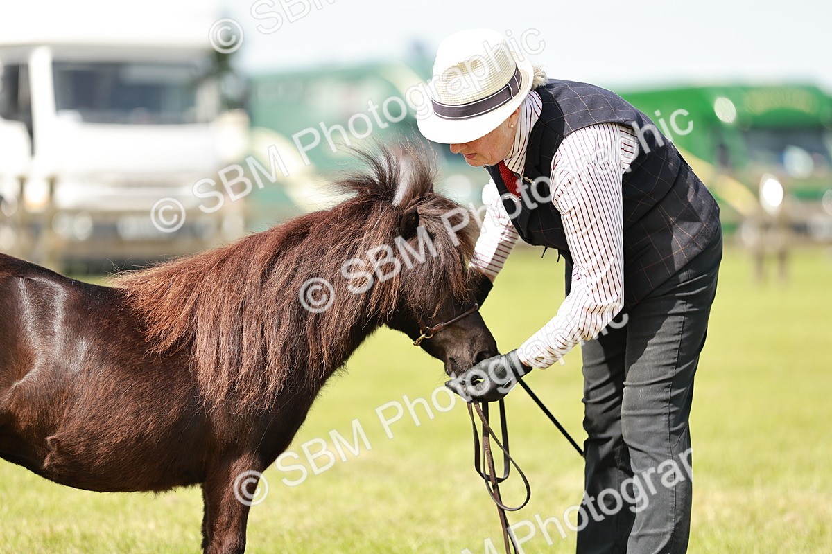 SBM_01909 - Class 14-23 - Mountain & Moorland In Hand Non Welsh