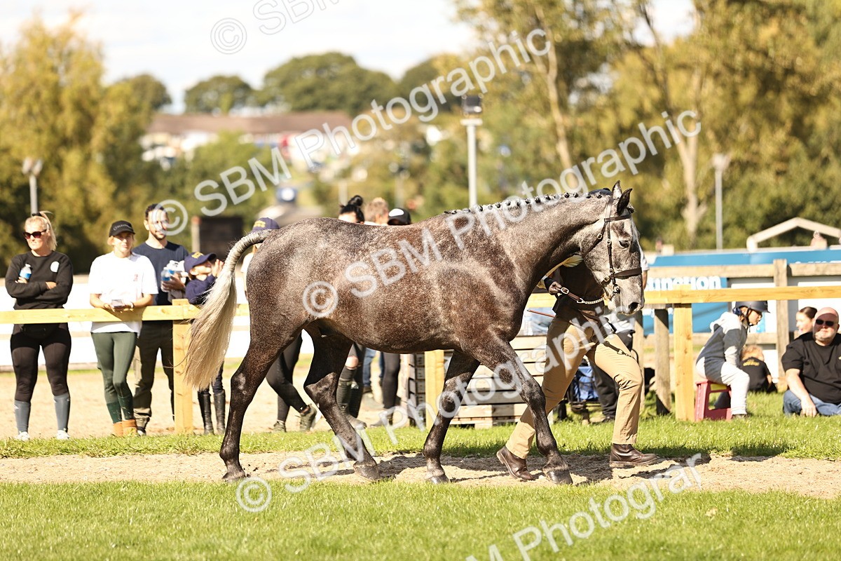 SBM_26185 - S5 - Novice & Newcomers In Hand