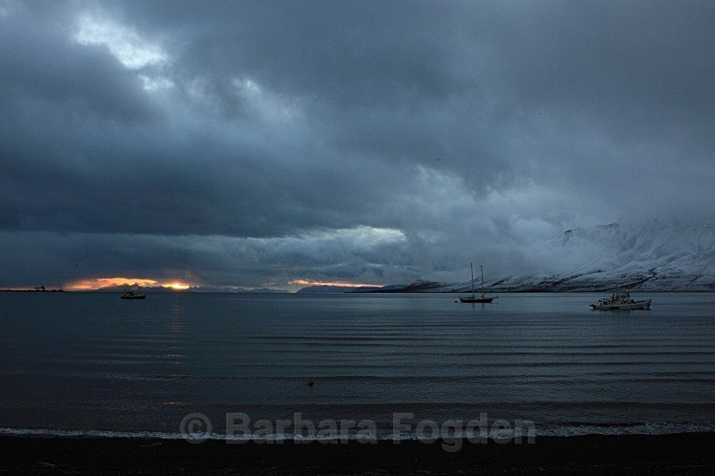 Adventfjord 4710 - Colours of Svalbard
