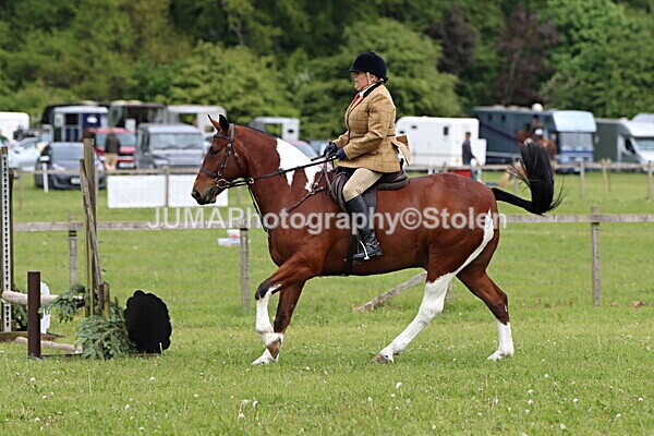 IMG_2859 - Working Hunter