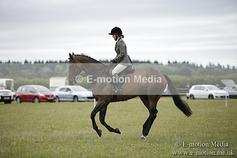 BVR160717-831 - Ring 1 BVRC Show 16/07/17