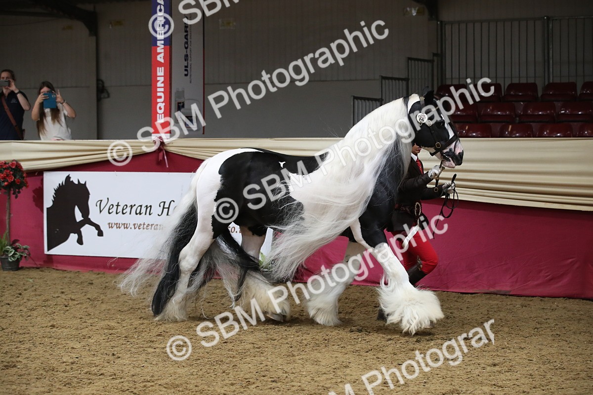 SBM_05837 - Class 9R - Regional IH Pre-Vet