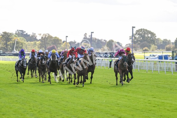 111024-Race 1-Empirestateofmind-1310 - Race 1 1.30pm William Hill Top Price Guarantee Autumn Handicap