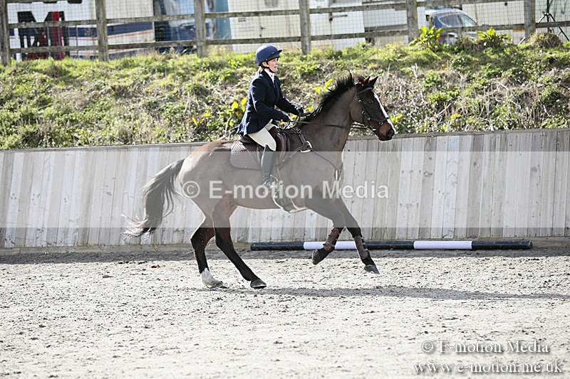 BVRC SJ 170319 655 - Bourne Valley Riding Club Showjumping 17/03/19