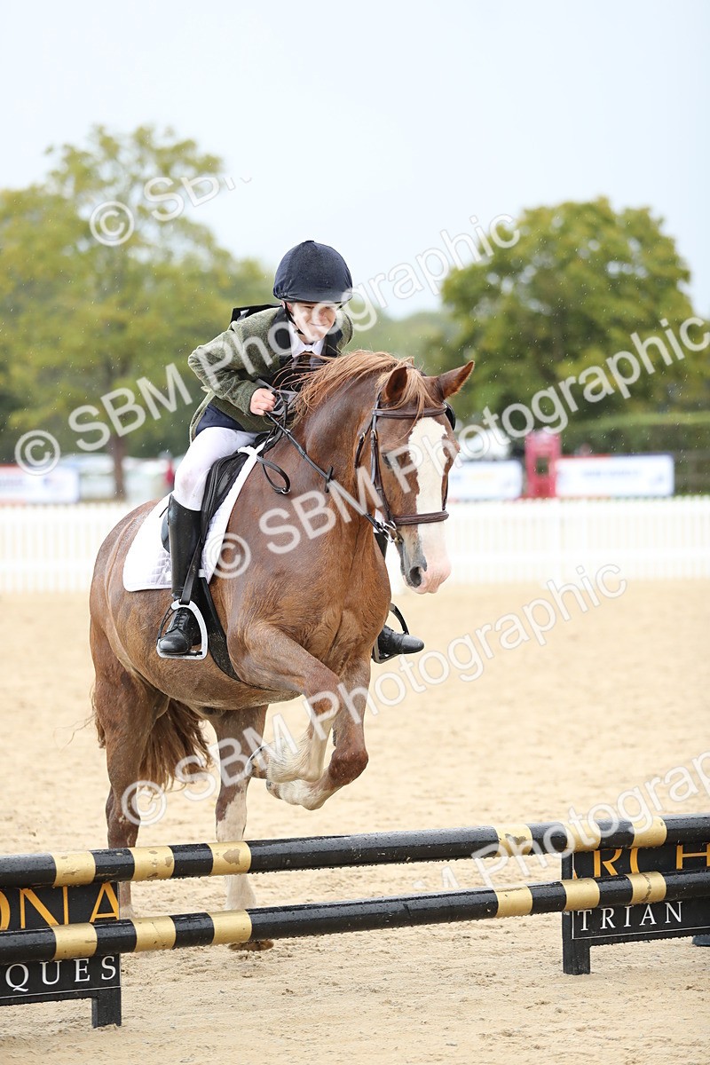 SBM_37189 - J20 - Junior Horse 50cm Championship