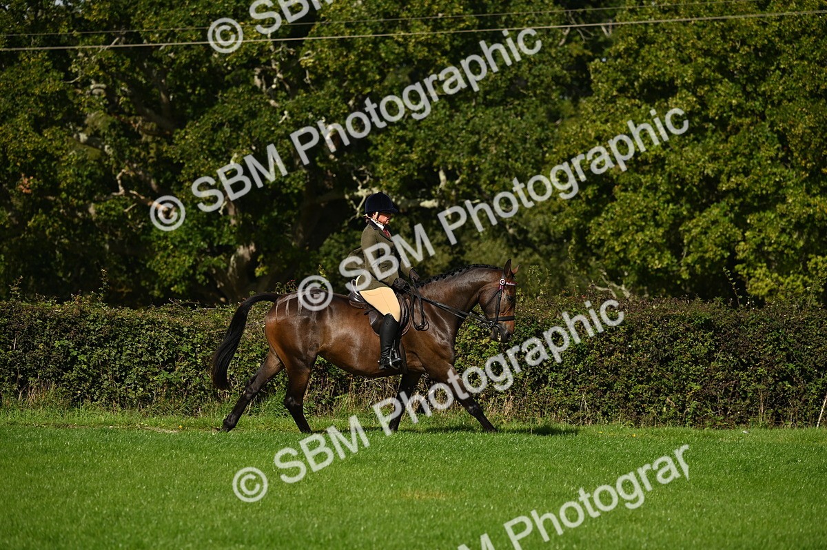 SBM_01455 - S2 - TSR Ridden Horse Showing