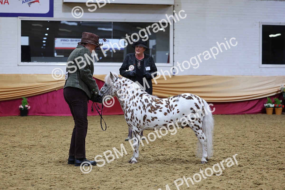 SBM_20894 - Class 902 - Supreme Final IH Veteran