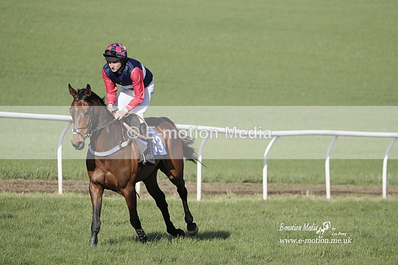 PtP 100423 1260 - Old Berkshire Point-to-Point Lockinge 10/04/23