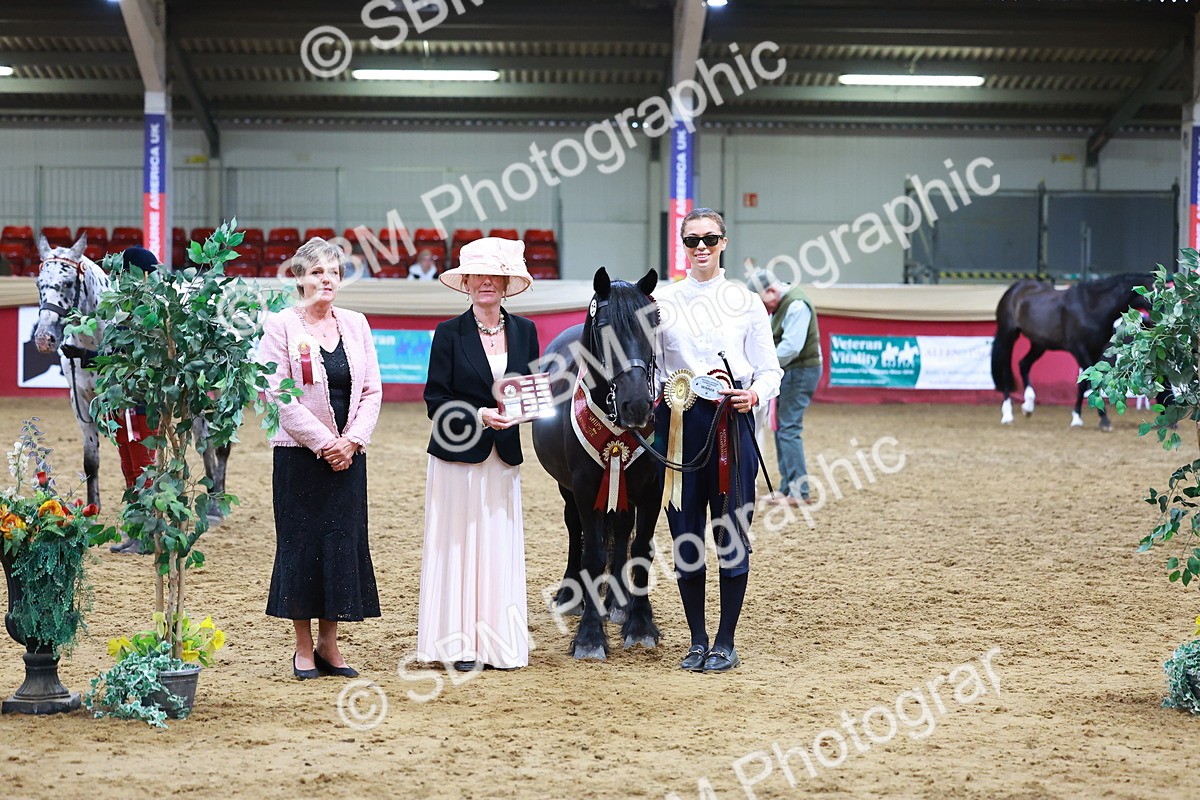 SBM_16287 - Class 901 - Sup Final - IH Diamond