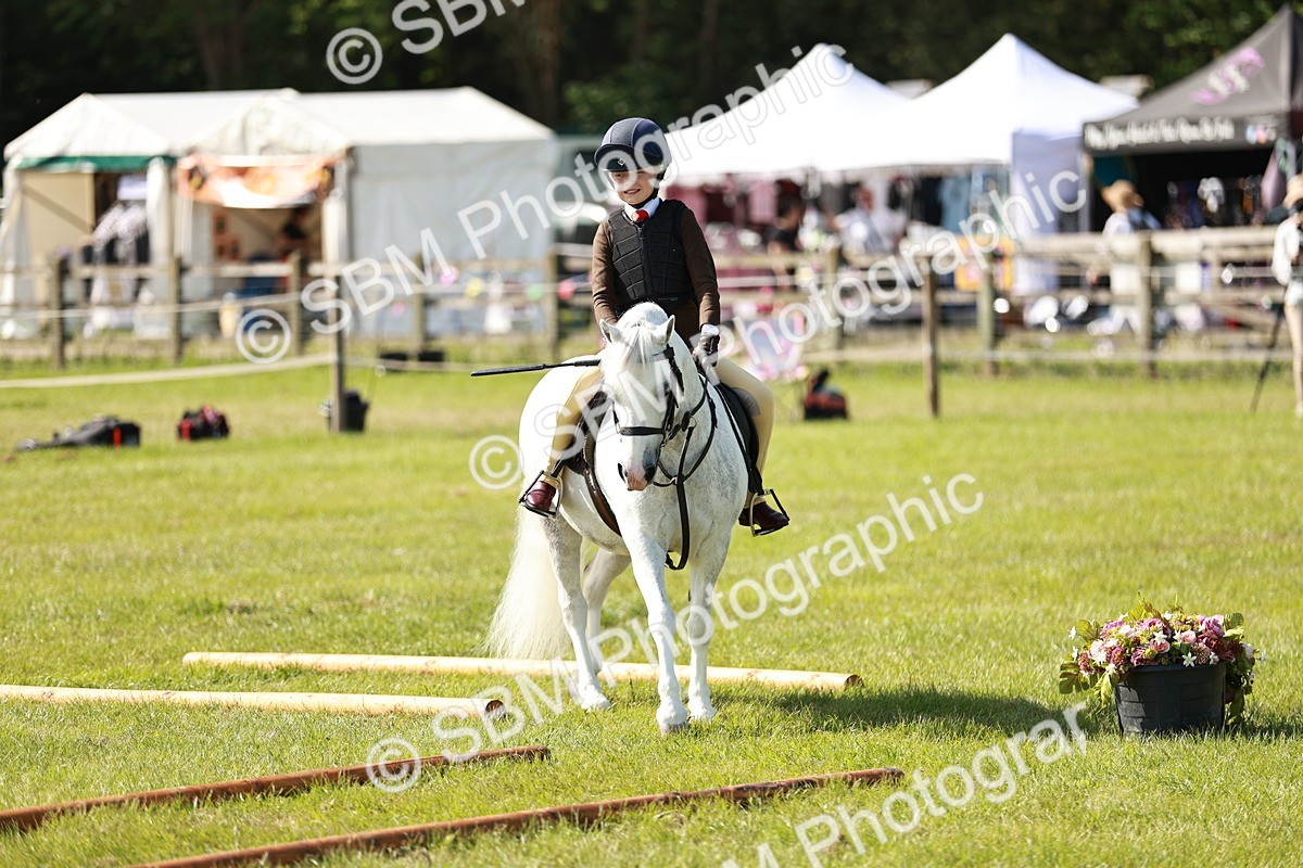 SBM_12680 - Class 106-107 - BSPS LIHS Working Sports Pony