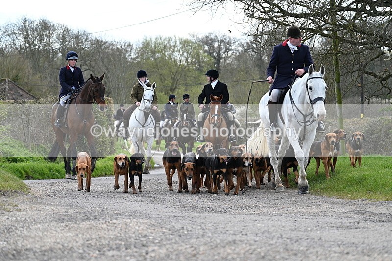 WJ7_9796 - Walk Home