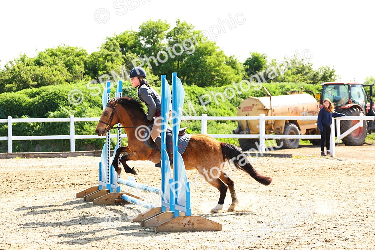 SBM_006653 - Class 2 - 50cm