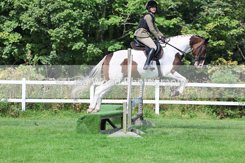 3E7A8603 - Class 5: Working Show Horse