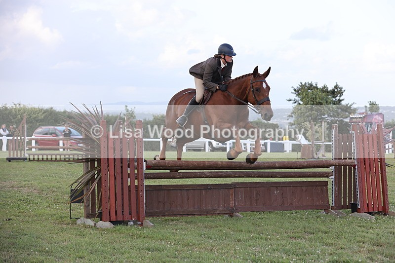 JPP_3660 - Class 24: Open Working Hunter