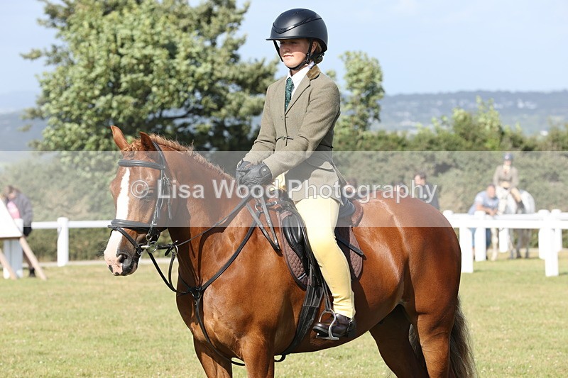 JPP_2968 - Class 20: Working Hunter 70cm