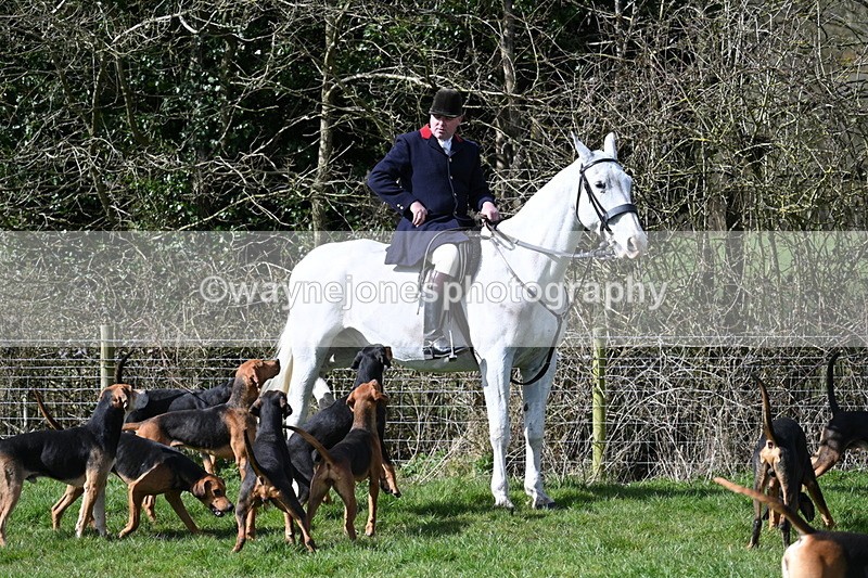 WJ7_6335 - Meet