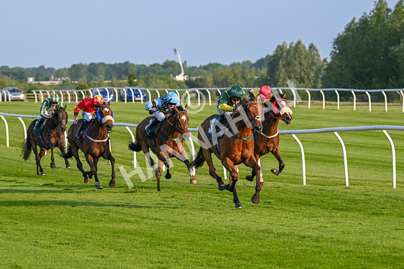 310524-Race 3-Lord Torranaga-8674