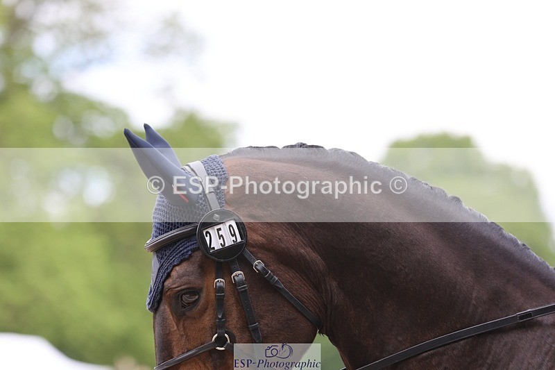 240524-095519-07329 - 259-METROPOLITAN_CLOVER-Megan_Brown