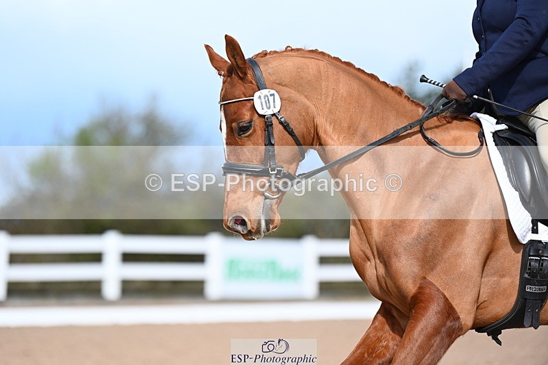 240323A-103506-01175 - MyQuest Novice 27