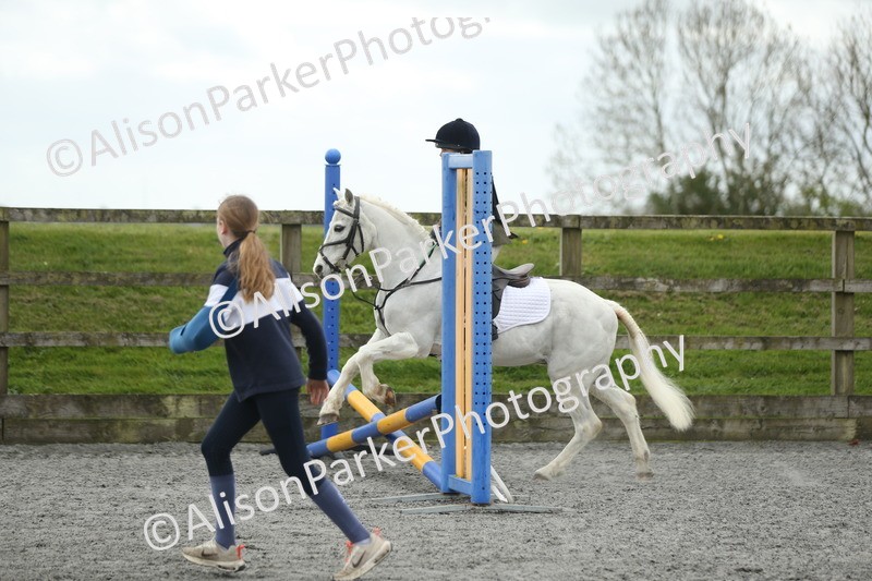 20260412-0651 - Show Jumping