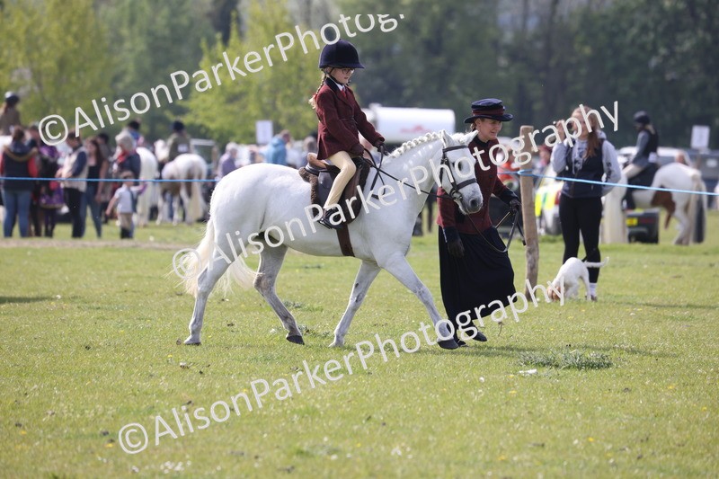 20260426-2557 - Class 31 - Leading Rein