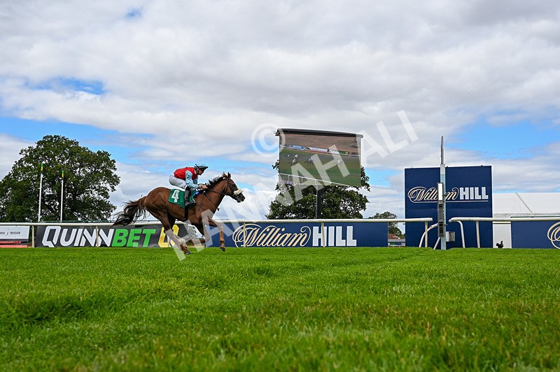 010826-Race 1-Battle Fever-4840 - Race 1 13.38pm John & Paula 25th Wedding Anniversary EBF Novice Stakes