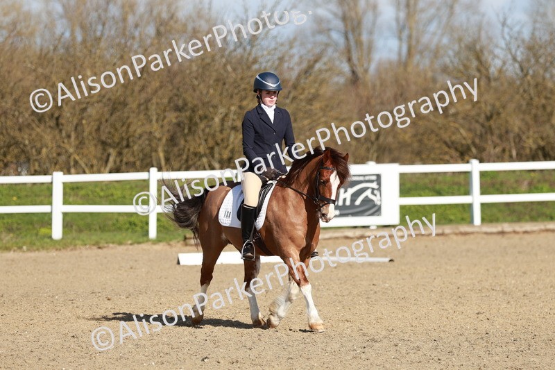 20260314-4284 - DR4 - Prelim 2