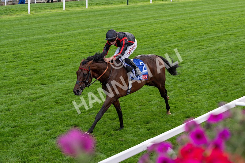 190826-Race 3-Maltese Cross-0347 - Race 3 15.00pm Sky Bet Great Voltigeur Stakes
